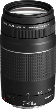 Canon EF 75 300